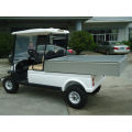 CE approuvé 2 sièges buggy de golf électrique, voiture de transport électrique, mini camion électrique